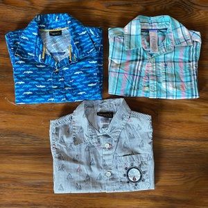 Button down collared shirts